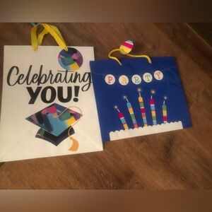 Colorful Celebration Gift Bags